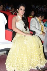 Lion Movie Audio Launch